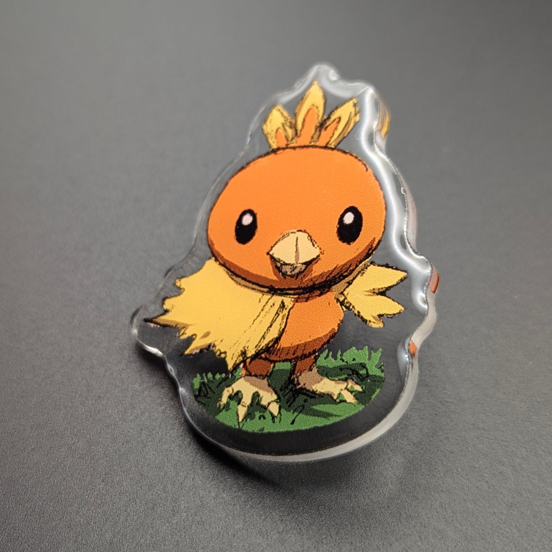 Torchic